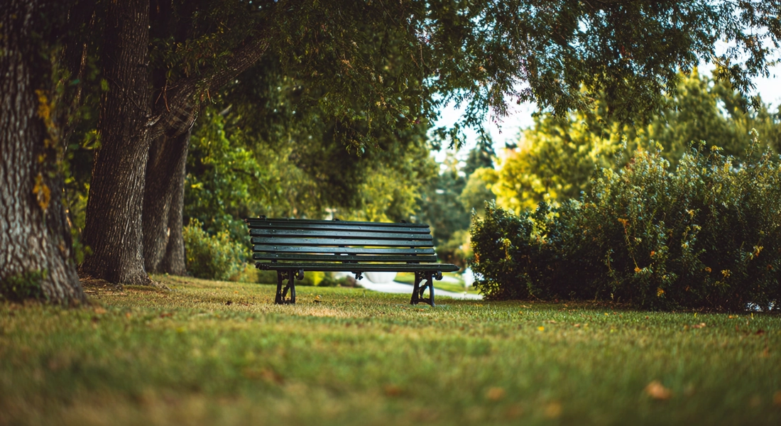 Ruhige Bank im Stadtpark Winterthur