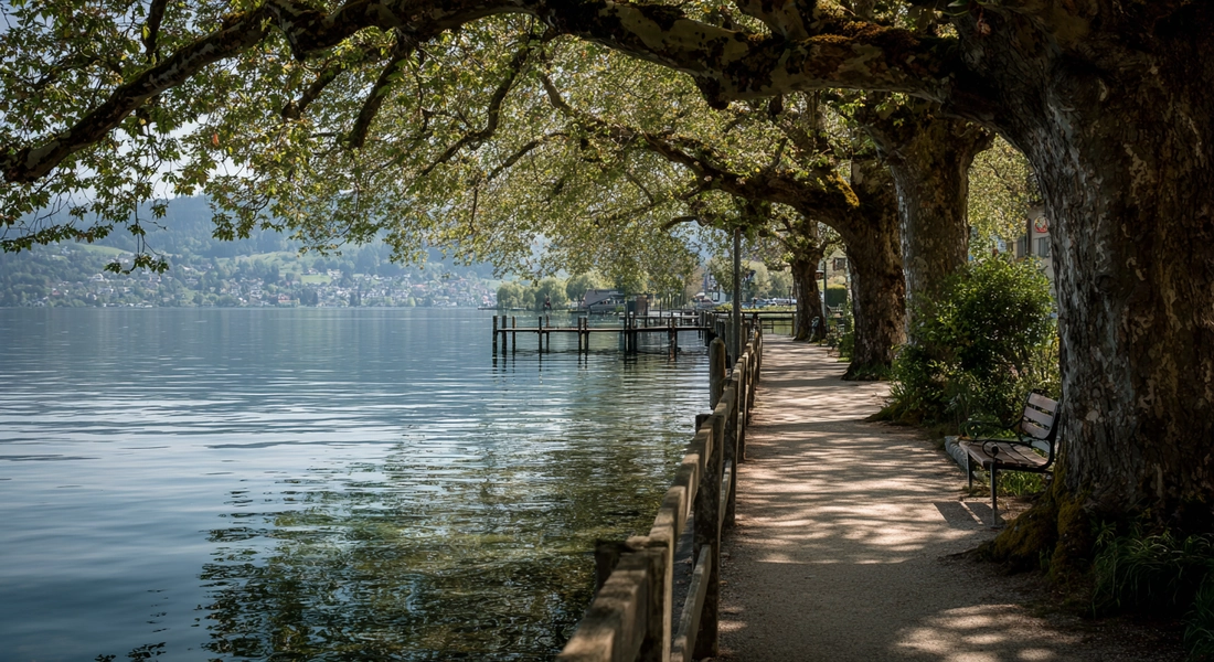Ruhiger Spazierweg entlang des Zugersees